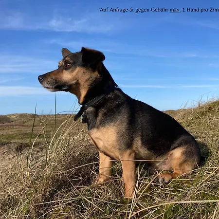 Logierhaus Extra Πανσιόν 3*