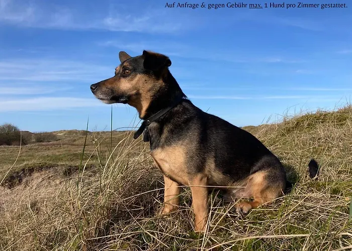 Logierhaus Extra Гостевой дом 3*